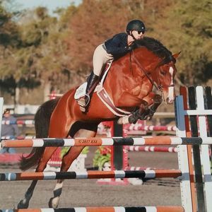 Meet your Posher, Kelly